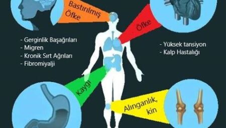 CrossFit Salonlarının Mental ve Ruhsal Sağlık Üzerindeki Etkileri